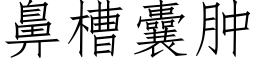 鼻槽囊肿 (仿宋矢量字库)