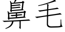 鼻毛 (仿宋矢量字库)