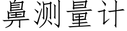 鼻测量计 (仿宋矢量字库)