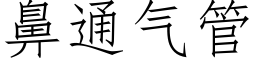 鼻通氣管 (仿宋矢量字庫)