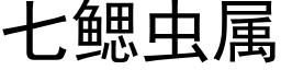 七鰓蟲屬 (黑體矢量字庫)