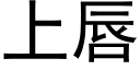 上唇 (黑體矢量字庫)