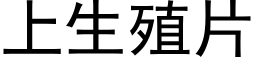上生殖片 (黑体矢量字库)