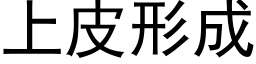 上皮形成 (黑体矢量字库)