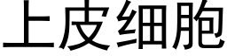 上皮细胞 (黑体矢量字库)