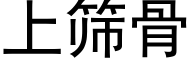 上筛骨 (黑体矢量字库)