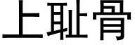 上耻骨 (黑体矢量字库)