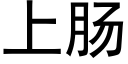 上肠 (黑体矢量字库)