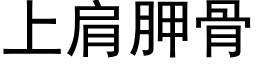 上肩胛骨 (黑体矢量字库)