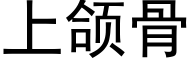 上颌骨 (黑體矢量字庫)