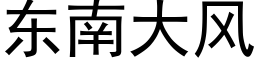 东南大风 (黑体矢量字库)