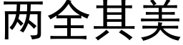 兩全其美 (黑體矢量字庫)