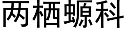 两栖螈科 (黑体矢量字库)