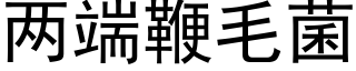 兩端鞭毛菌 (黑體矢量字庫)