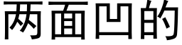 兩面凹的 (黑體矢量字庫)