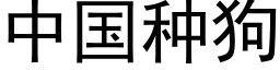 中國種狗 (黑體矢量字庫)