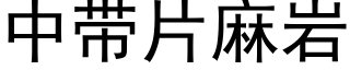 中带片麻岩 (黑体矢量字库)