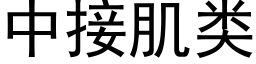 中接肌类 (黑体矢量字库)