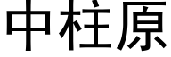 中柱原 (黑體矢量字庫)