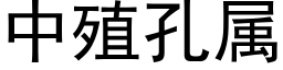 中殖孔屬 (黑體矢量字庫)