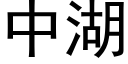 中湖 (黑体矢量字库)