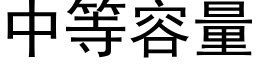 中等容量 (黑體矢量字庫)