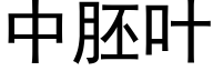 中胚叶 (黑体矢量字库)