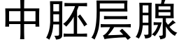 中胚層腺 (黑體矢量字庫)