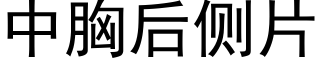 中胸後側片 (黑體矢量字庫)