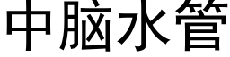 中脑水管 (黑体矢量字库)