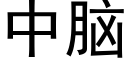 中腦 (黑體矢量字庫)