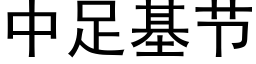 中足基節 (黑體矢量字庫)