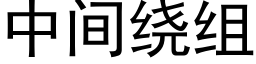 中間繞組 (黑體矢量字庫)