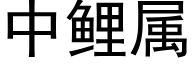 中鲤属 (黑体矢量字库)