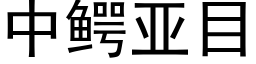 中鳄亚目 (黑体矢量字库)
