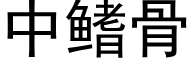 中鳍骨 (黑体矢量字库)