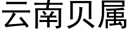 云南贝属 (黑体矢量字库)