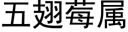 五翅莓屬 (黑體矢量字庫)