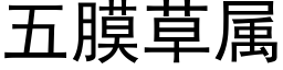 五膜草属 (黑体矢量字库)