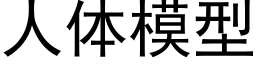 人體模型 (黑體矢量字庫)