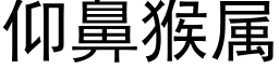 仰鼻猴属 (黑体矢量字库)