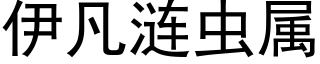 伊凡漣蟲屬 (黑體矢量字庫)