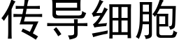 传导细胞 (黑体矢量字库)