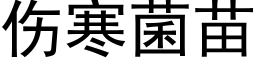 伤寒菌苗 (黑体矢量字库)