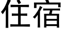 住宿 (黑体矢量字库)