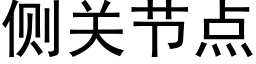 侧关节点 (黑体矢量字库)