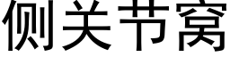 侧关节窝 (黑体矢量字库)