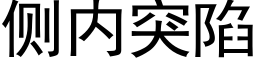 側内突陷 (黑體矢量字庫)