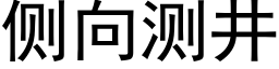 侧向测井 (黑体矢量字库)