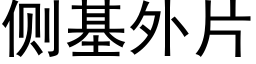 側基外片 (黑體矢量字庫)